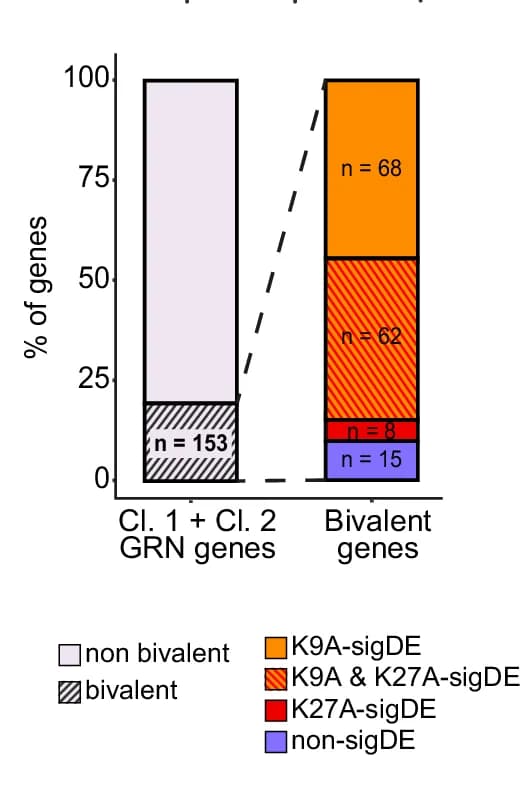 Open access visualization of Bar Plot, Stacked Bar Plot, Stacked Barplot, Genes, Bivalent Promoters