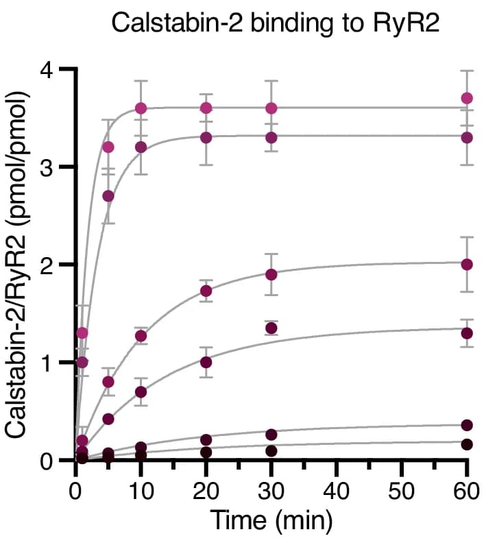 Open access visualization of Line Plot, Error Bars, Scatter Plot, Binding Curves, Calstabin-2