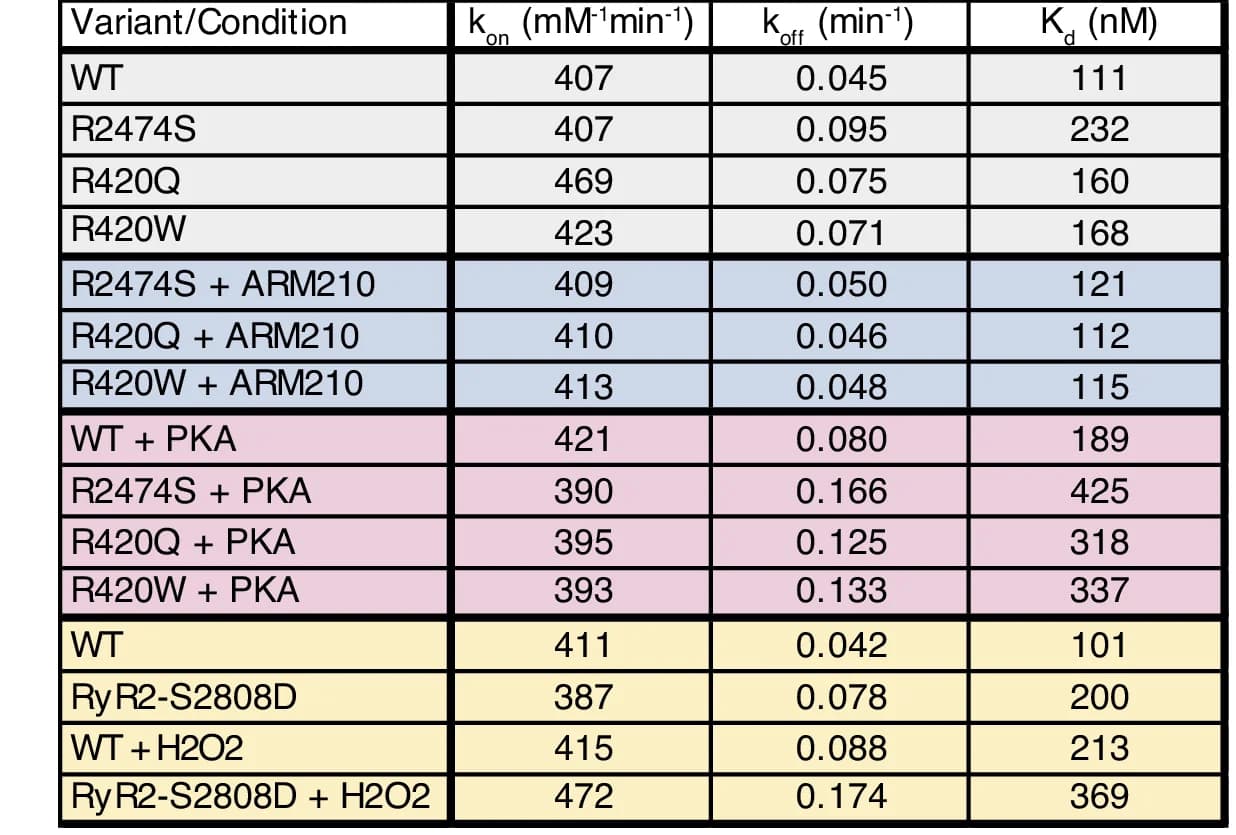 Open access visualization of Table Image, K on, K off, K d, Association Kinetics