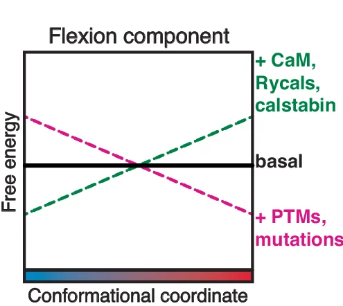 Open access visualization of Line Plot, Energy Landscape, Flexion Component, Cytoplasmic Shell, Conformational Space