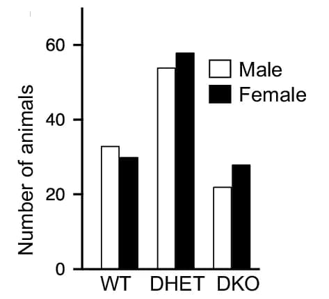 Open access visualization of Bar Plot, Clustered, Mice, Genotype, Sex