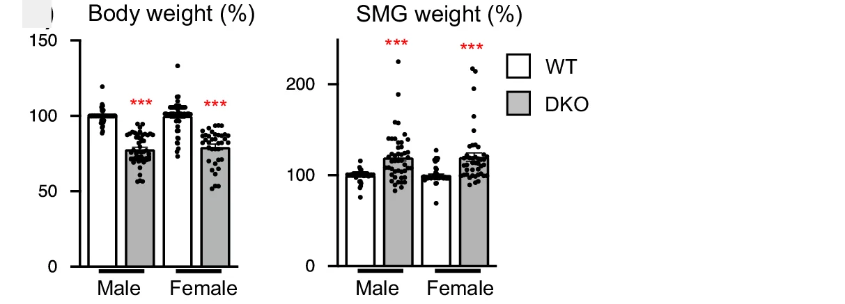 Open access visualization of Bar Plot, Error Bars, Body Weight, SMG Weight, Mice