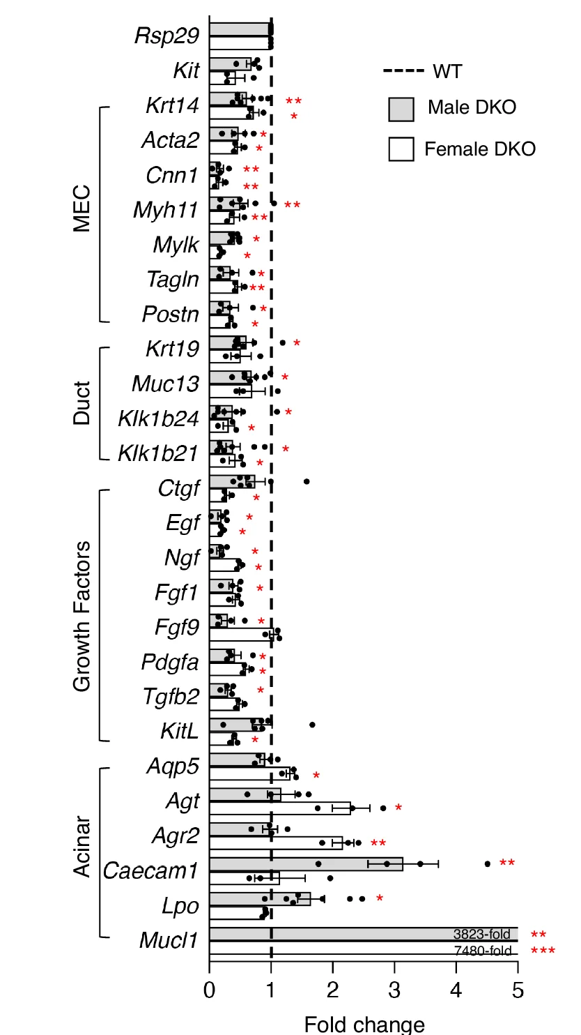 Open access visualization of Bar Plot, Scatter Plot, Error Bars, qPCR, Gene Expression