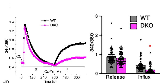 Open access visualization of Line Plot, Bar Plot, Scatter Plot, Error Bars, Cytosolic Ca2+