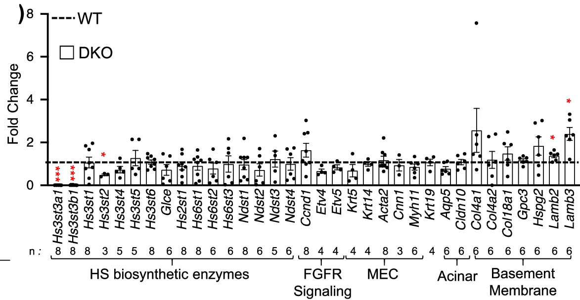 Open access visualization of Bar Plot, Error Bars, Scatter Plot, Gene Expression, WT