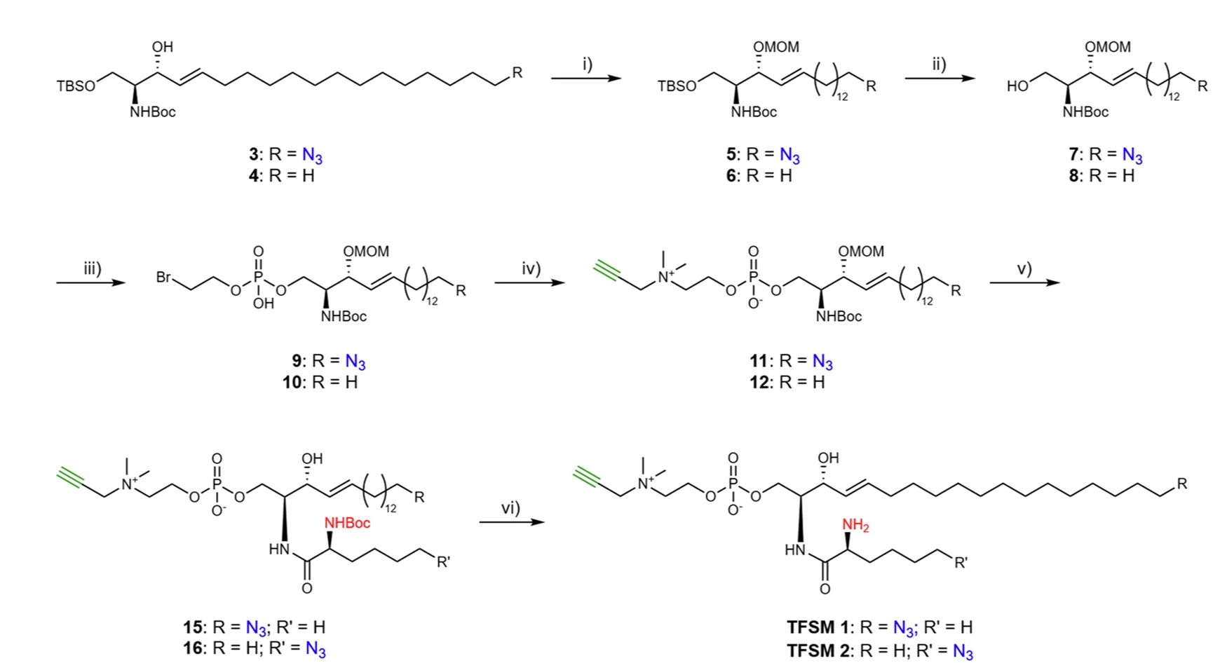 Open access visualization of Chemical Structure, Workflow, Sphingomyelin Derivative, Chemical Synthesis