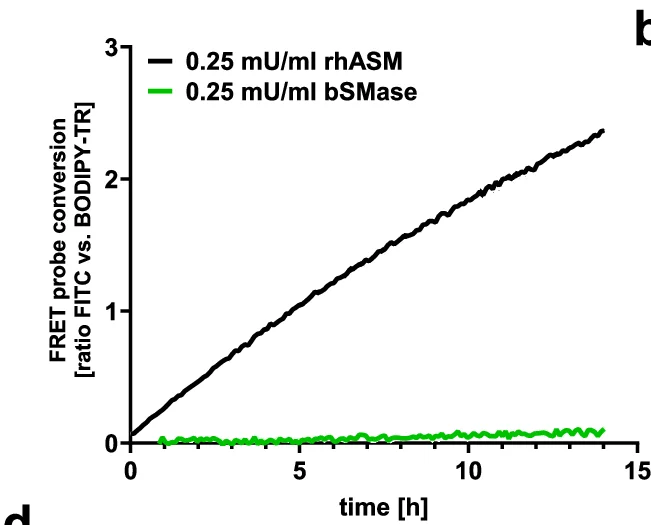 Open access visualization of Line Plot, Sphingomyelinase, FRET Probe, rhASM, bSMase
