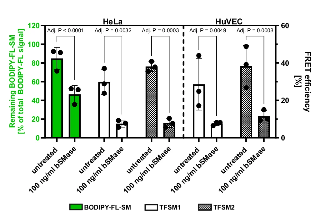 Open access visualization of Bar Plot, Error Bars, FRET, TFSM, HeLa Cells