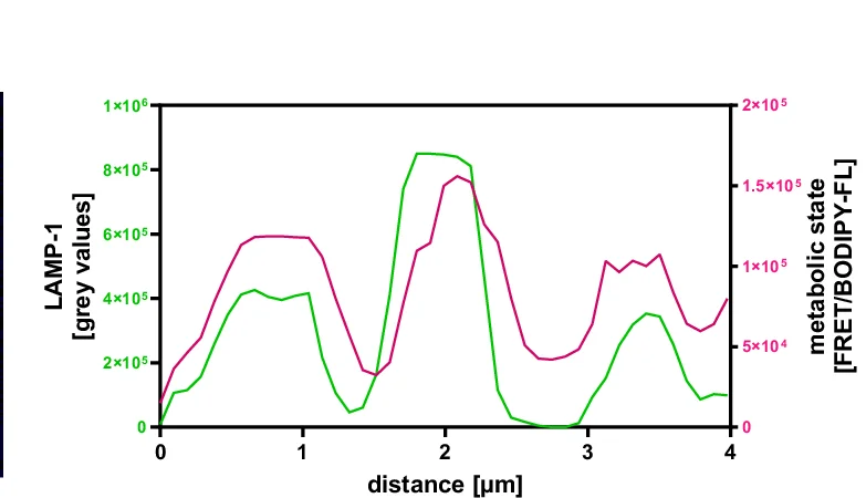 Open access visualization of Line Plot, Lysosomes, SM Content, HeLa Cells, LAMP1