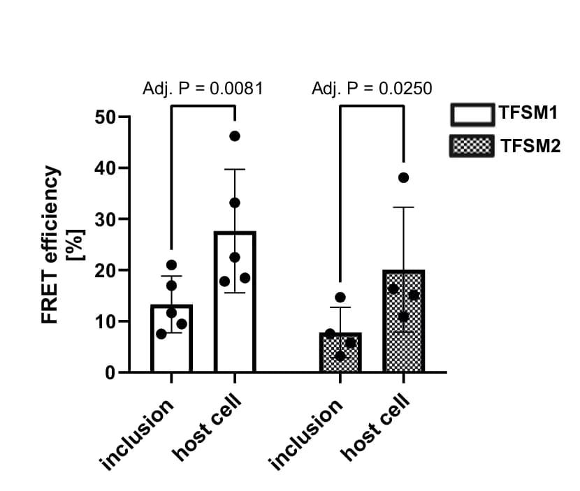 Open access visualization of Bar Plot, Error Bars, Clustered, Chlamydial Inclusions, Host Cell Membranes