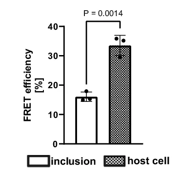Open access visualization of Bar Plot, Error Bars, Inclusions, FRET Efficiency, Host Cell Membranes