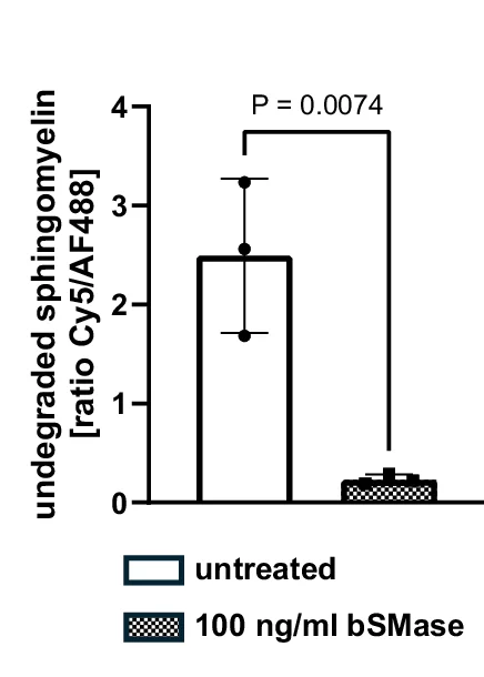 Open access visualization of Bar Plot, Error Bars, Flow Cytometry, HeLa Cells, TFSM 1