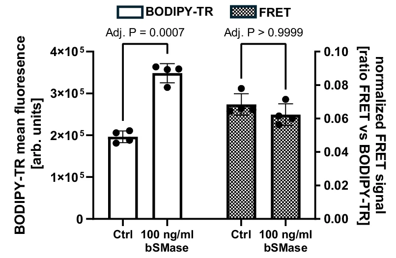 Open access visualization of Bar Plot, Error Bars, bSMase, SM Derivatives, HeLa Cells
