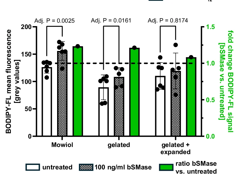 Open access visualization of Bar Plot, Error Bars, Scatter Plot, bSMase, Fluorophores