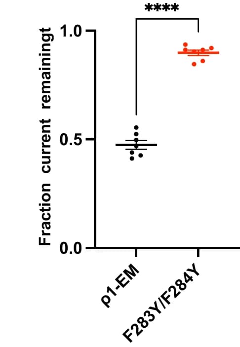 Open access visualization of Scatter Plot, Error Bars, Fractional Current, E2, GABA
