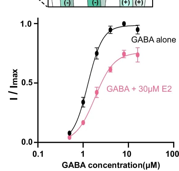 Open access visualization of Line Plot, Error Bars, GABA, Concentration-Response Curves, E2