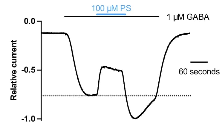 Open access visualization of Line Plot, TEVC Recording, GABA, Pregnenolone Sulfate