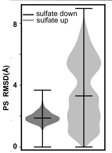 Open access visualization of Violin Plot, Error Bars, PS, Mobility, MD Simulations