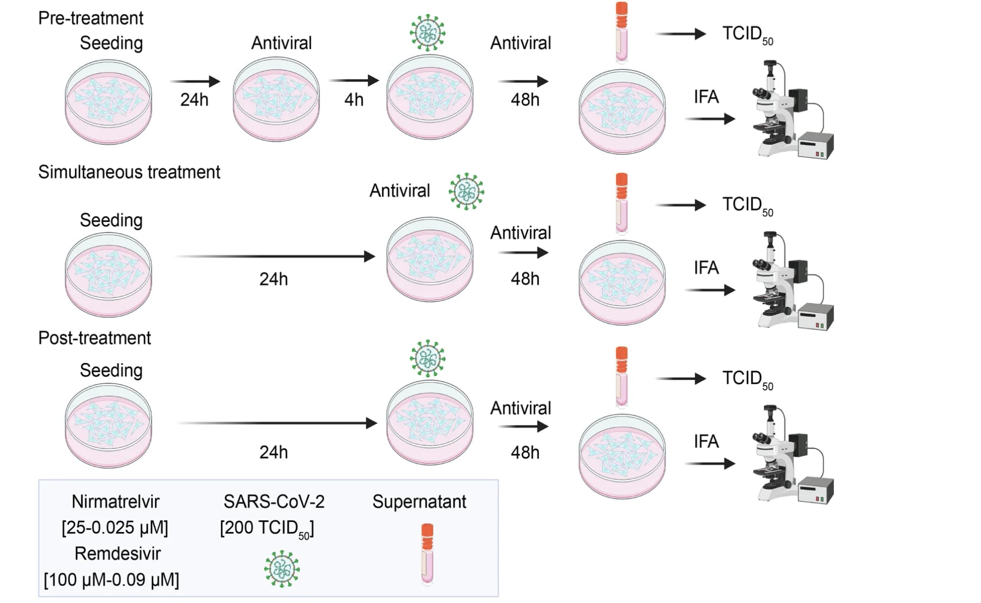 Open access visualization of Workflow, Flowchart, Illustration, Treatment Plans, SARS-CoV-2-nsp5 T169I nsp12 V792I Virus