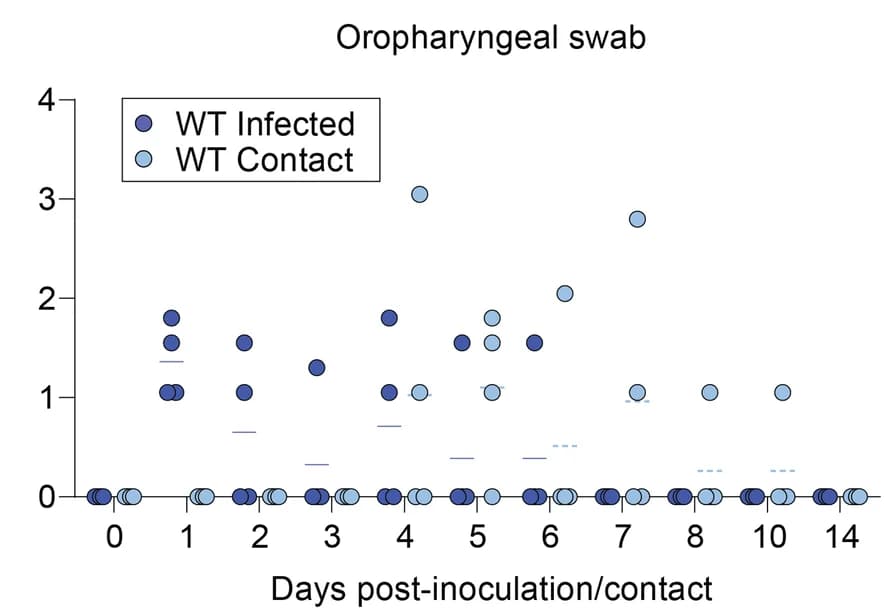 Open access visualization of Scatter Plot, Regression Plot, SARS-CoV-2, Infectious Load, Oropharyngeal Swabs