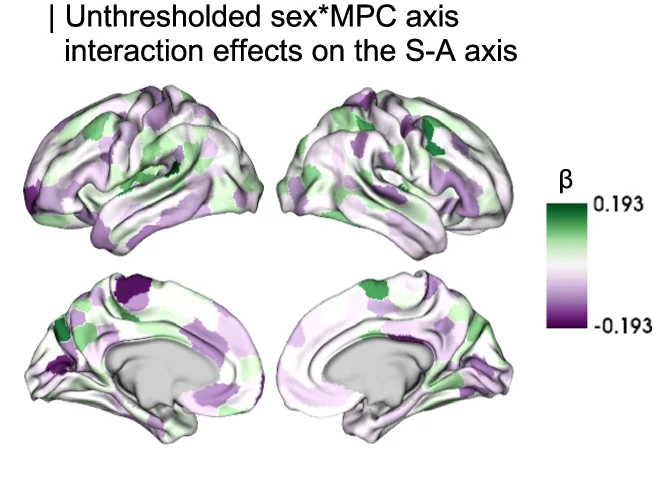 Open access visualization of 3D Plot, Protein Structure, Linear Mixed Effect Model, Sex, MPC Axis