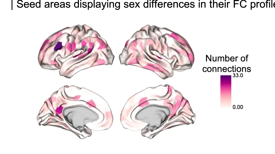 Open access visualization of 3D Plot, Connections, Seed Region, Sex Differences, FDR Correction
