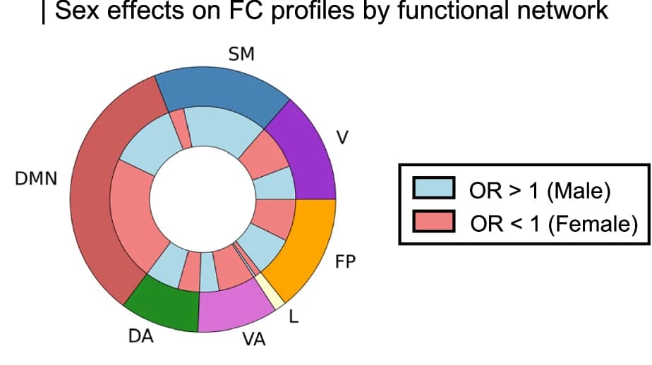 Open access visualization of Donut Chart, Functional Network, Connections, Sex Effects, FDR Correction