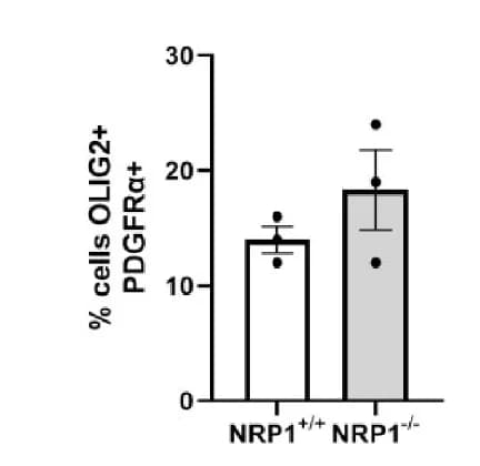 Open access visualization of Bar Plot, Error Bars, NRP1, hESC, Differentiation