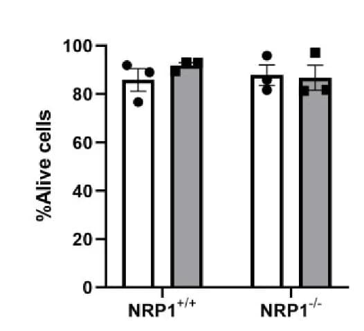 Open access visualization of Bar Plot, Error Bars, Flow Cytometry, Cell Survival, DRAQ7
