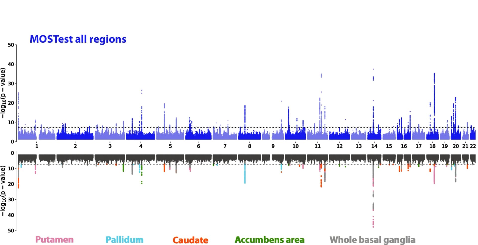 Open access visualization of Manhattan Plot, Scatter Plot, Miami Plot, GWAS, Basal Ganglia