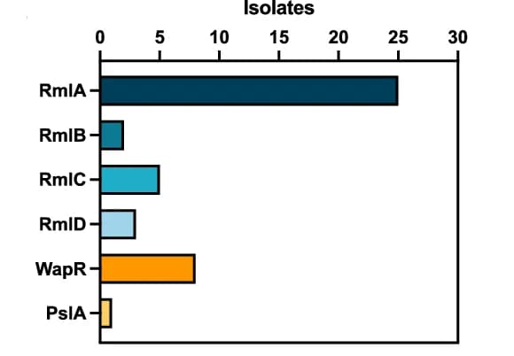 Open access visualization of Bar Plot, Isolates, Mutant Protein, Cumulative Number