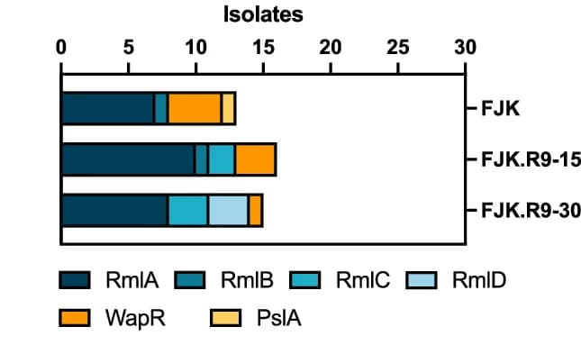 Open access visualization of Stacked Bar Plot, Isolates, Mutant Protein, Treatment Group, Phage FJK