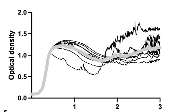 Open access visualization of Line Plot, Optical Density, OD600, Co-incubation, Paer09 Strain