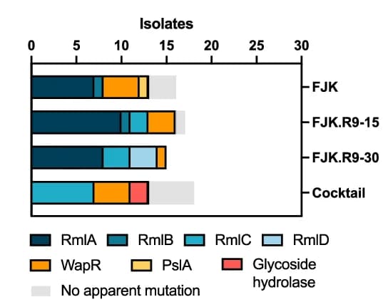 Open access visualization of Stacked Bar Plot, Isolates, Mutant Protein, Treatment Group, Phage Cocktail