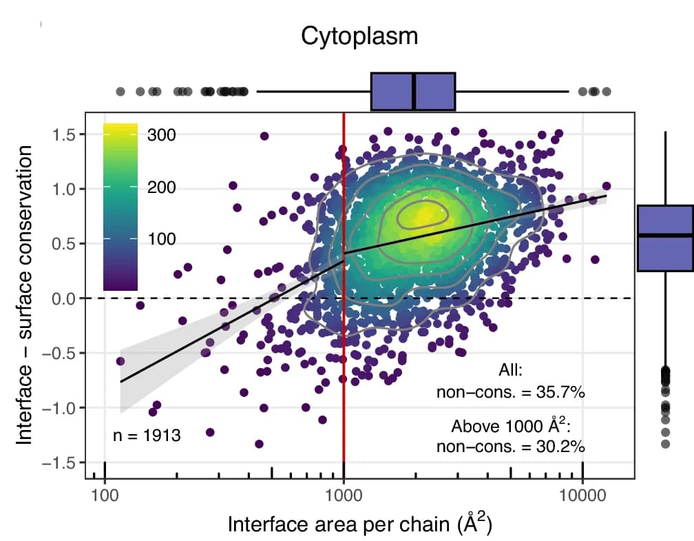 Open access visualization of Scatter Plot, Regression Plot, Density Plot, Box Plot, Homomer Interfaces