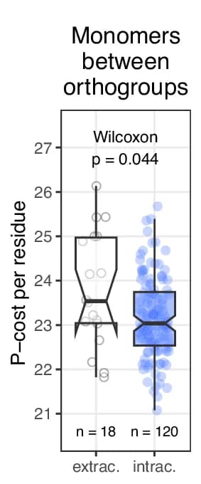 Open access visualization of Box Plot, Scatter Plot, Raincloud Plot, Orthogroups, Synthesis Cost