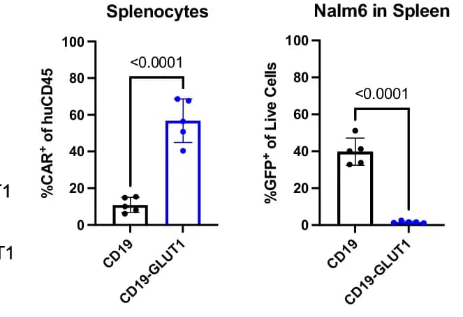 Open access visualization of Bar Plot, Error Bars, Flow Cytometry, Splenocytes, CAR+ Cells