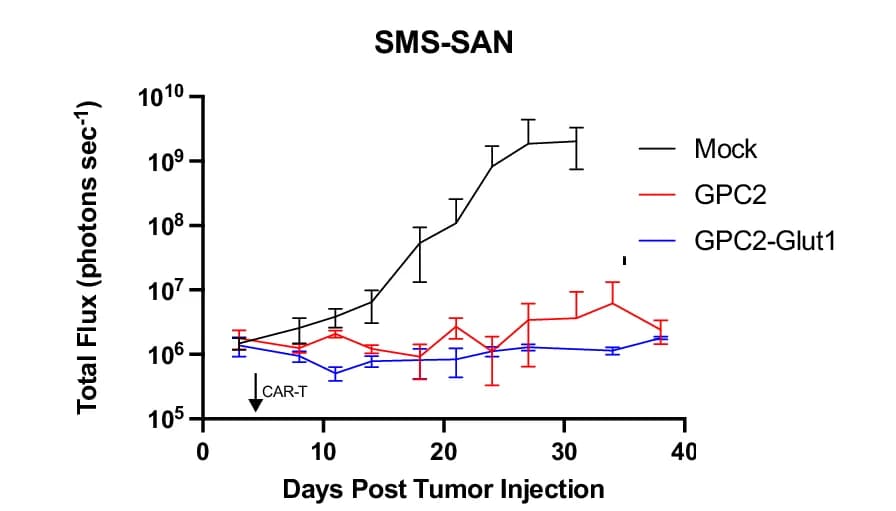Open access visualization of Line Plot, Error Bars, Tumor Progression, Bioluminescent Imaging, Mice
