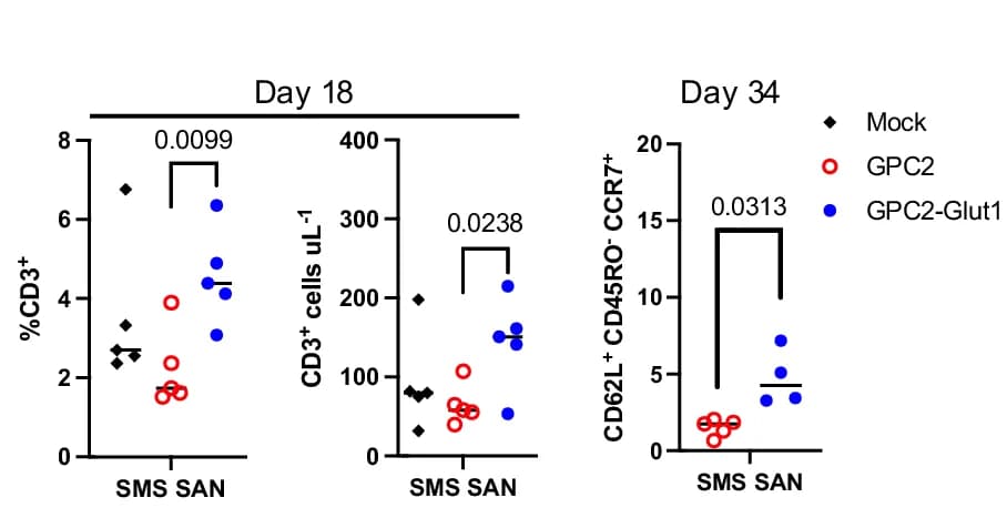 Open access visualization of Scatter Plot, Flow Cytometry, Peripheral Blood, CD3+ Cells, T SCM Populations