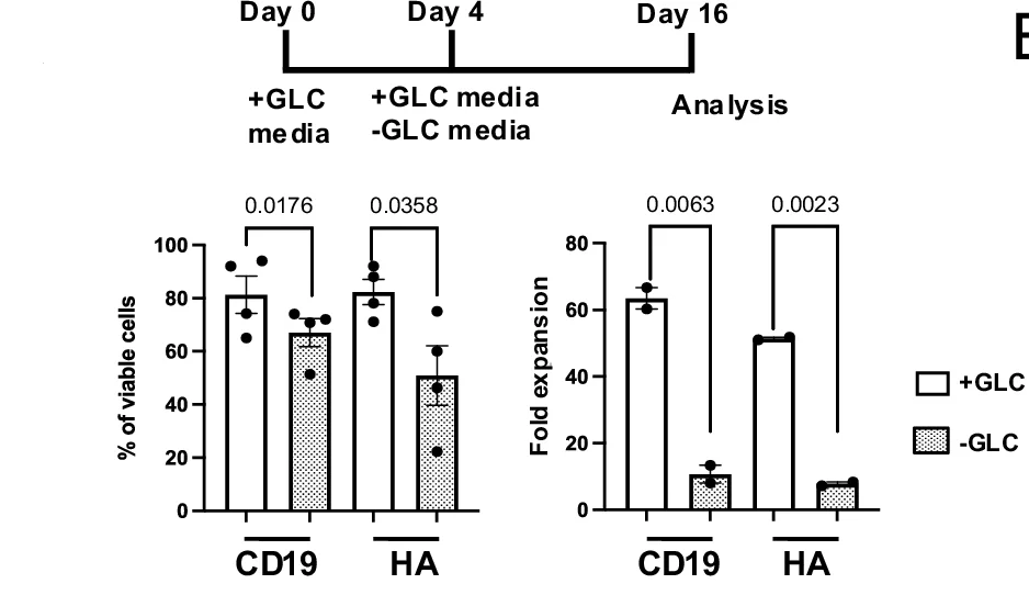 Open access visualization of Bar Plot, Error Bars, Clustered, Experimental Design, CAR-T Cells