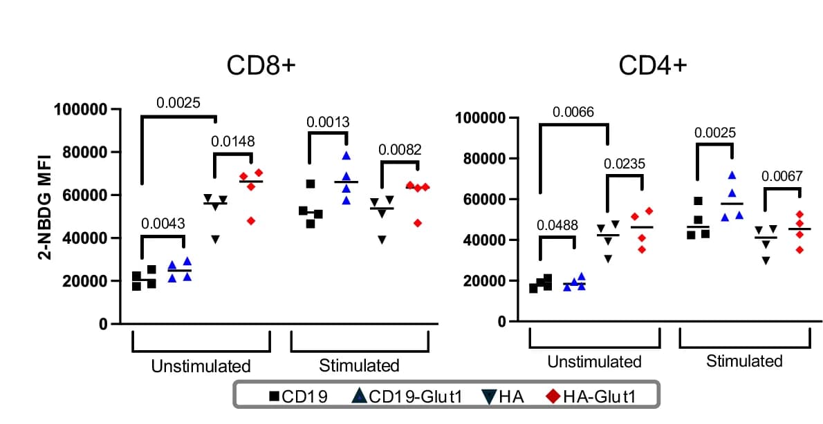 Open access visualization of Scatter Plot, 2-NBDG, Fluorescence Intensity, CD8+ T Cells, CD4+ T Cells
