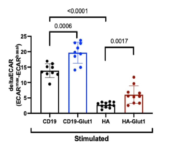 Open access visualization of Bar Plot, Error Bars, Scatter Plot, ECAR, Anti-idiotype Stimulation