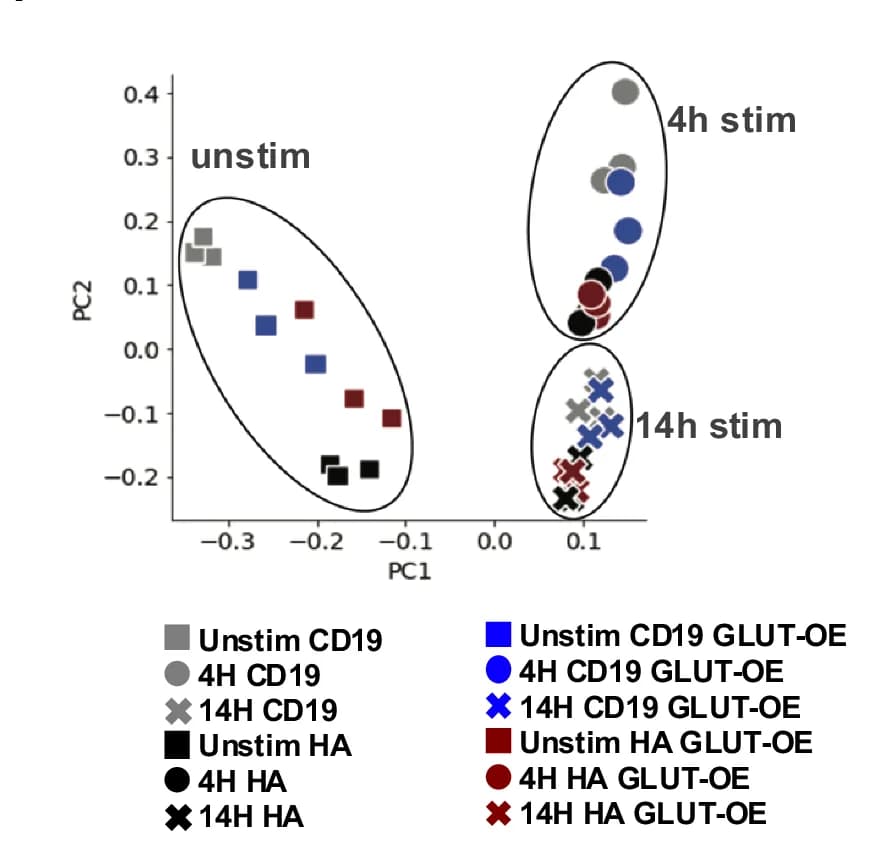 Open access visualization of Scatter Plot, PCA, Principal Component Analysis, Bulk RNA, CD19