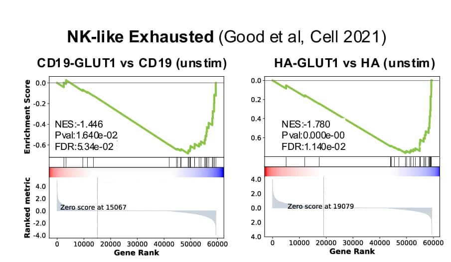 Open access visualization of Line Plot, Density Plot, GSEA Analysis, NK-like Exhaustion Signature, CD19 T Cells