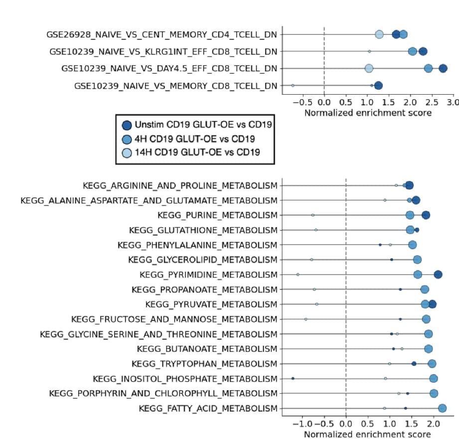 Open access visualization of Scatter Plot, Bubble Plot, GSEA Analysis, RNA-seq, CD19 T Cells