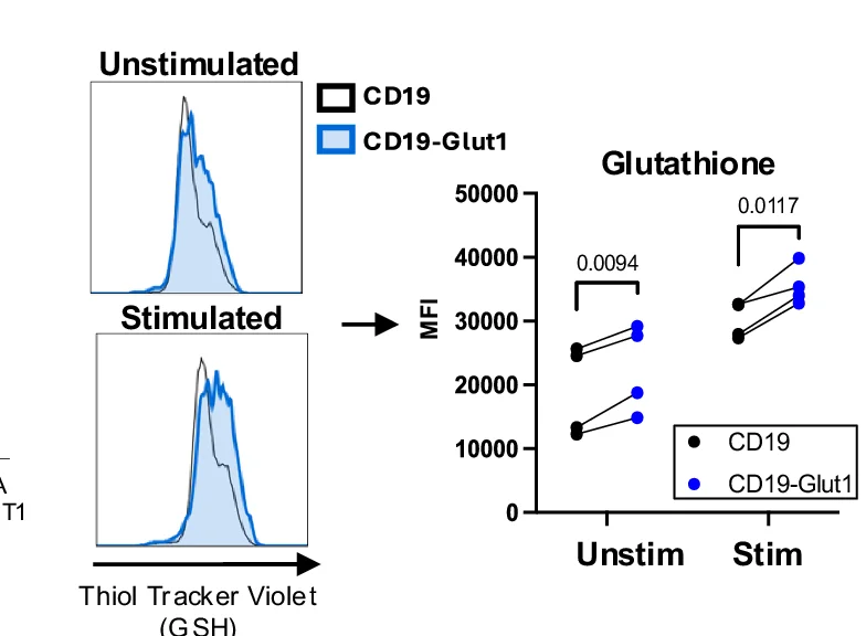 Open access visualization of Density Plot, Line Plot, CAR-T Cells, GSH Content, ThiolTracker