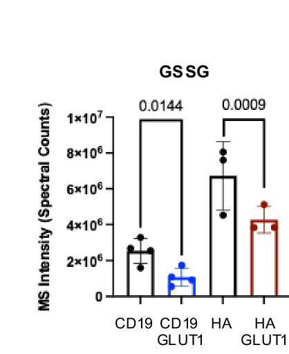 Open access visualization of Bar Plot, Error Bars, LC-MS, cysteineglutathione disulfide, CAR-T Cells