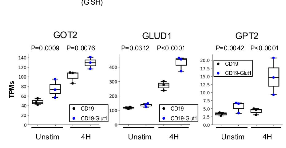 Open access visualization of Box Plot, Scatter Plot, Glutaminolysis Genes, CAR-T Cells