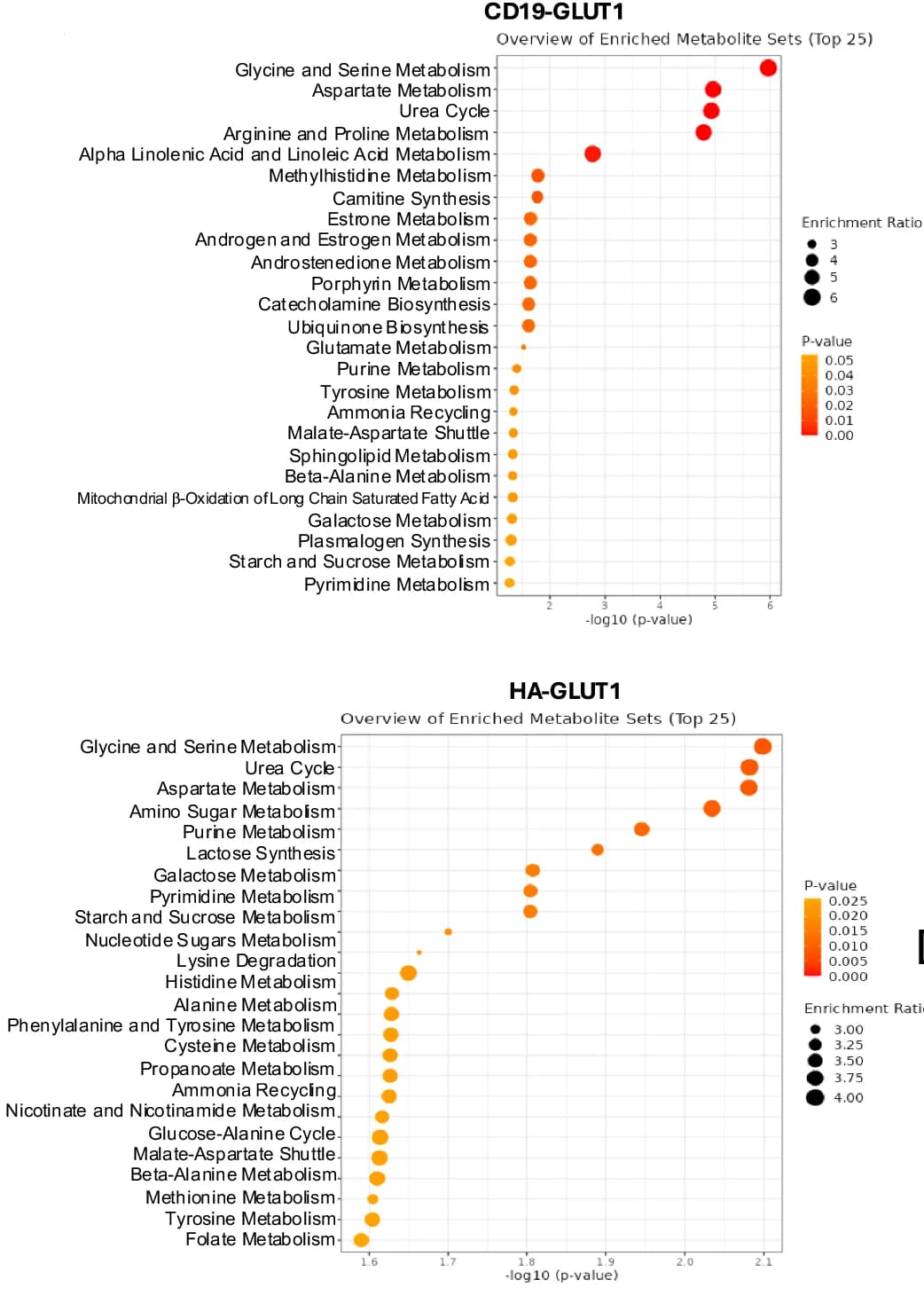 Open access visualization of Bubble Plot, Scatter Plot, LC-MS, Metabolomic Pathways, CD19-GLUT1 CAR-T Cells