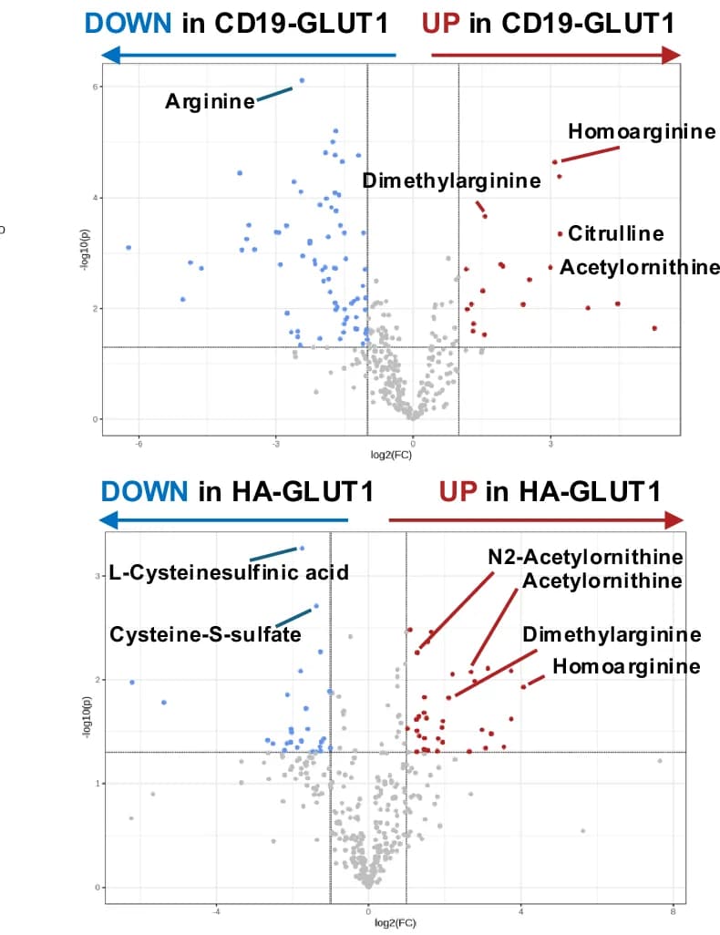Open access visualization of Volcano Plot, Scatter Plot, Volcano Plots, Metabolite Abundance, Urea Cycle